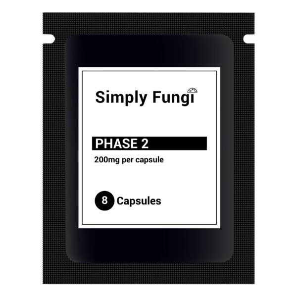 PHASE 2 (FEELER PACKS)