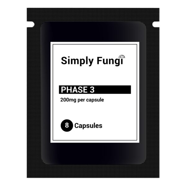 PHASE 3 (FEELER PACKS)